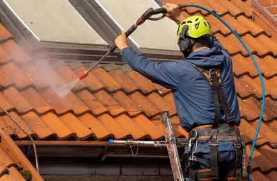 Démoussage et hydrofuge de toiture à Silhac